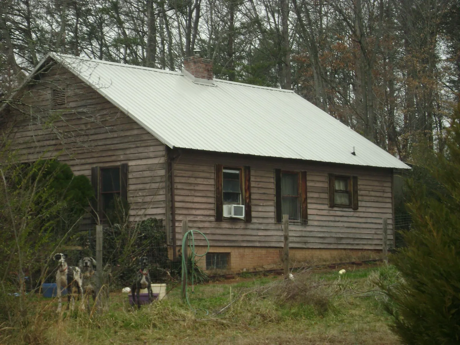 White metal roof on an old wood sided farmhouse, from a Asphalt Shingle Roof Repair job in Shevlin
